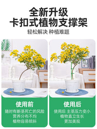 Orchid and Plant Support Stakes for Potted Plants, Anti-Toppling Garden Plant Support Rods