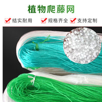 Green Garden Trellis Netting for Climbing Plants, Cucumber, Loofah, Chrysanthemum Support, Windproof and Anti-Lodging Net