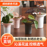 Large Breathable Orchid & Succulent Planter Pot with Drainage Base for Home & Balcony