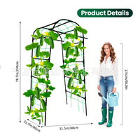 Coated Steel Pipe Trellis for Climbing Plants, Gourd, Pumpkin, Eggplant, Cucumber, Grape Support