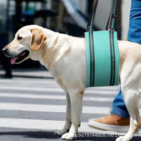 Pet Dog Support Harness for Rehabilitation and Mobility Assistance