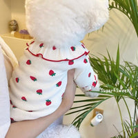 Pet Strawberry Print Undershirt for Small Dogs and Cats