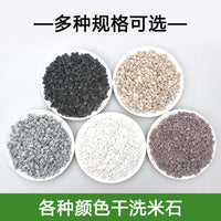 Natural White Pebbles for Garden Landscaping and Pathways, 40lb Bag