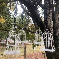 Outdoor Hanging Hummingbird Feeder for Garden & Patio