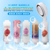 Aromatherapy Shower Head Filter Cartridge for Chlorine Removal and Skin Care