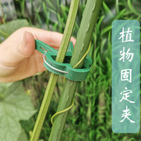 Garden Plant Clips for Support and Training, Tomato Vine Clips, Reusable Plastic Plant Grips