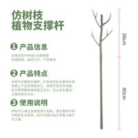 Moss Pole Plant Support Stakes with Orchid Clips and Ties for Indoor Outdoor Climbing Plants