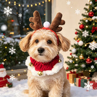 Christmas Reindeer Antler Headband with Bell Collar for Pets