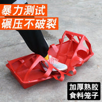 Automatic Poultry Feeder with Anti-Scatter Design for Chickens Ducks Geese