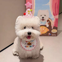 Pet Birthday Bandana Bib and Hat Set for Dogs and Cats, Cute Photo Prop Costume