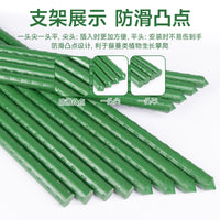 Coated Steel Plant Support Stakes for Climbing Plants, Garden Trellis for Vegetables and Flowers