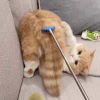 Retractable Cat Teaser Wand with Massager and Grooming Comb for Interactive Play and Scratching Relief