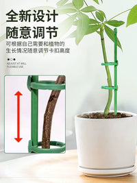 Plant Support Stakes with Clips and Ground Plugs for Potted Plants and Climbing Vines