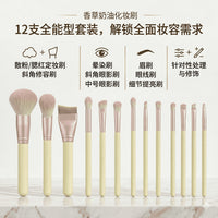 12-Piece Portable Makeup Brush Set with Eyeshadow, Powder, and Blush Brushes