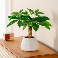 Self-Watering Planter Pot for Indoor Plants, Resin Plastic Breathable Hydroponic Flower Pot