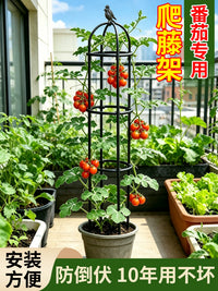 Garden Trellis for Climbing Plants, Round Iron Art Support for Roses, Clematis, and Pothos, Outdoor Plant Climbing Frame