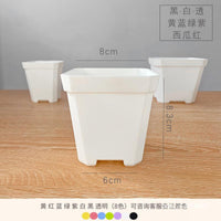 Clear Octagonal Thickened Plastic Succulent Planter Seedling Pot