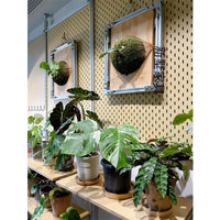 Minimalist Floor-to-Ceiling Aluminum Plant Stand Living Room Planter Shelf Storage Rack