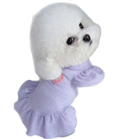 Pet Dog Cat Princess Dress for Small to Medium Breeds - Sweetheart Design Spring/Summer Apparel