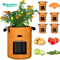 Felt Non-Woven Fabric Plant Grow Bag with Flap Window for Potatoes Tomatoes