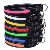 USB Rechargeable LED Dog Collar for Night Safety, Luminous Nylon Collar for Medium to Large Dogs