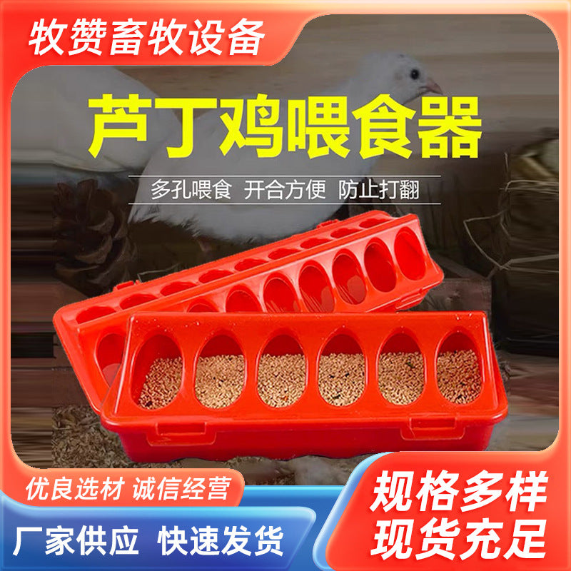 Automatic Quail Feeder and Waterer Set for Poultry