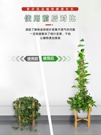 Bendable Coir Moss Pole for Climbing Plants, Plant Support Stake for Potted Plants