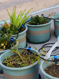 Automatic Drip Irrigation Kit for Potted Plants and Gardens