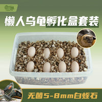 Vermiculite Reptile Egg Incubation Box for Lizards, Geckos, Snakes, and Turtles