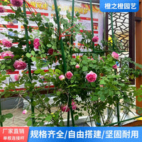 Garden Plant Support Stakes for Climbing Vines, Coated Steel Pipe Trellis for Passion Fruit, Cucumber, Loofah, Clematis