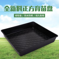 Square Succulent Seedling Tray Plastic Plant Pot Organizer