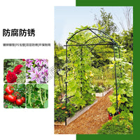 Garden Arch Trellis for Climbing Plants, Coated Steel Frame for Vegetables and Flowers