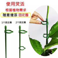 Garden Plant Support Stakes for Flowers, Tomato Vines and Climbing Plants