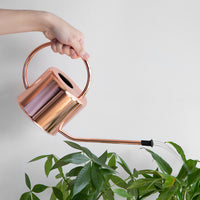 European Style Stainless Steel Watering Can for Indoor & Outdoor Plants, 1.2L