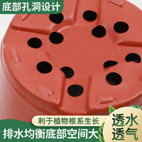 Two-Tone PE Soft Plastic Nursery Pots for Succulents and Seedlings