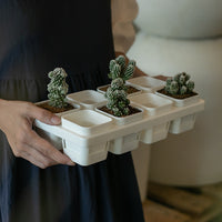 Plastic Plant Pot Saucer Tray for Succulents and Seedlings, Thickened Drip Tray for Square Pots