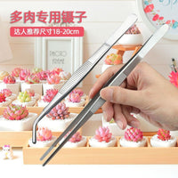 Succulent Plant Tool Kit with Tweezers, Shovel, and Soil Loosening Tools