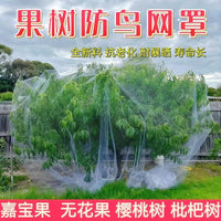 Orchard Bird Netting for Fruit Trees and Vegetable Gardens