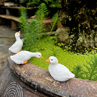 Mini White Duck Animal Ornaments for Garden, Courtyard, Potted Plants, Fish Tank, Waterscape, Micro Landscape, Rockery, Outdoor Decor