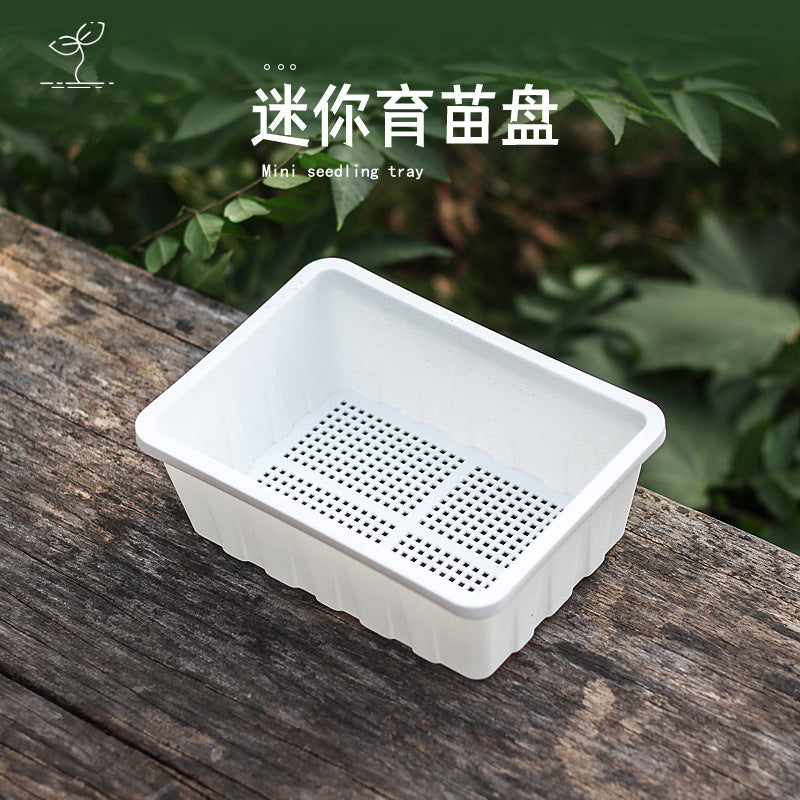 Mini Seedling Starter Trays with Humidity Dome for Succulents and Cuttings, PP Material