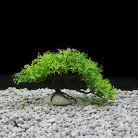 Artificial Pine Tree Aquarium Ornament, Plastic Aquatic Plant for Fish Tank Decoration