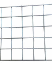 Galvanized Welded Wire Mesh Panel for Fencing and Enclosures