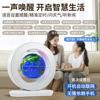 Levitating Smart Globe with AI for Kids' Education and Home Decor