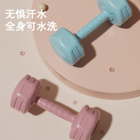 Women's Cement Dumbbells for Home, Yoga, Office Workouts, and Fitness Training