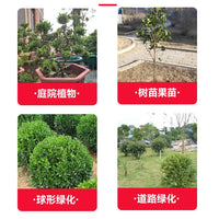 Plant Winter Protection Cover Non-Woven Fabric Frost Guard for Trees Shrubs