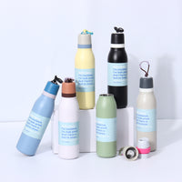 Minimalist Macaron Stainless Steel Insulated Water Bottle with Handle