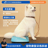 FitPAWS Ramp Inflatable Wedge for Dog Fitness Ball Muscle Weight Transfer Training