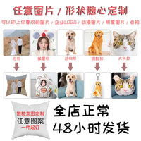 Custom Pet Photo Pillow Plush Toy - DIY Shaped Cat Dog Doll