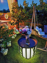 Solar Powered Stainless Steel Outdoor Garden Lawn Lamp with Waterproof Design