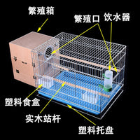 Large Galvanized Flight Cage for Parakeets, Mynahs, Peonies, and Cockatiels